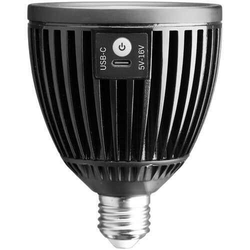 HIVE LIGHTING Bumble Bulb PAR30