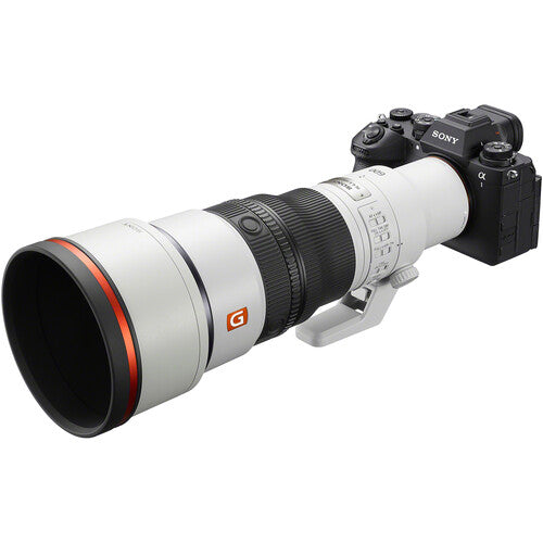 Sony FE 600mm f/6.3 GM OSS Lens (Sony E)