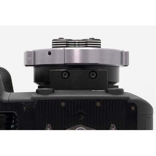 Hot Rod Cameras PL-RF Support Foot for Canon C70