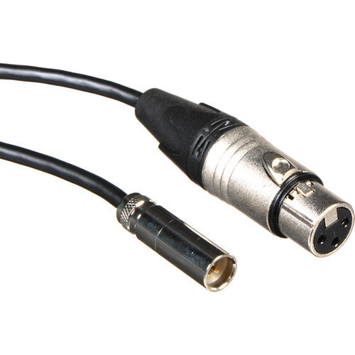 Blackmagic Design Mini XLR Cable for Video Assist/4K (Set of 2, 19.5")