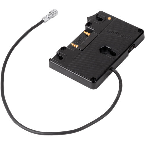 Wooden Camera WC Gold Mount (BMPCKC, Blackmagic Pocket Cinema Camera 4 ...